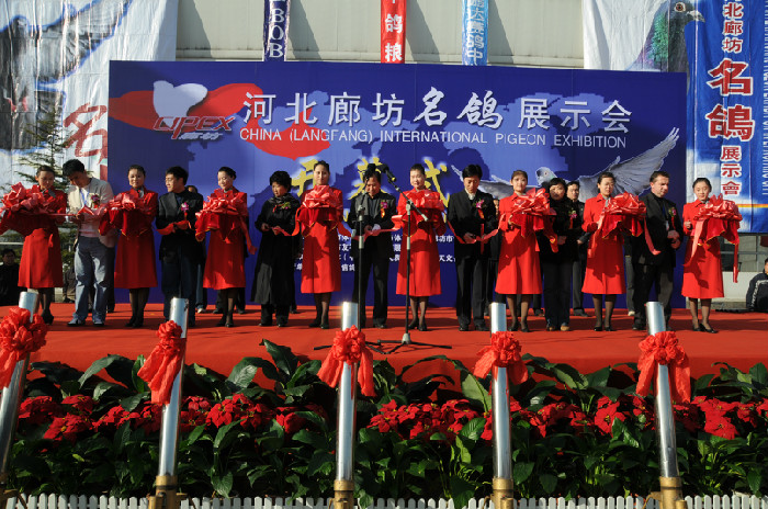 中国廊坊国际鸽展开幕式场面空前壮观