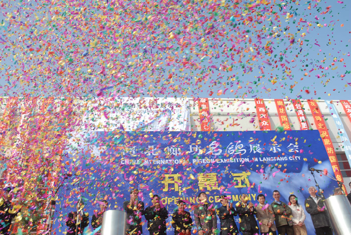 中国廊坊国际鸽展开幕式场面空前壮观