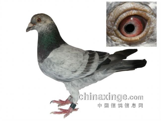 小丫头还让朋友搞了这种特写图