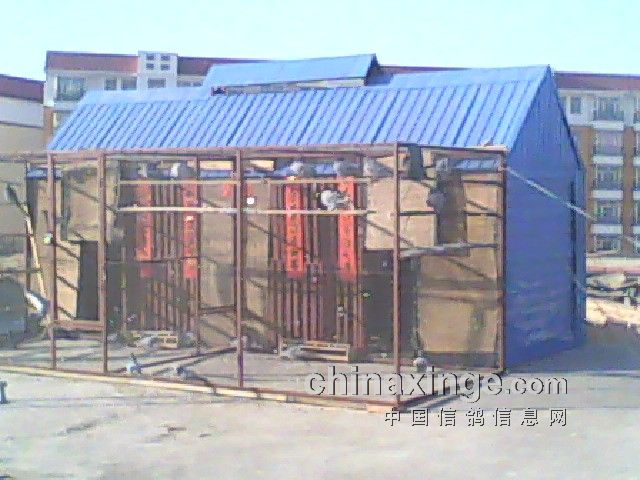 媛媛鸽舍，大红对联贴着，有特色吧