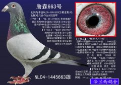 詹森663号-法兰西鸽舍