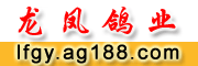 点击进入鸽舍网站