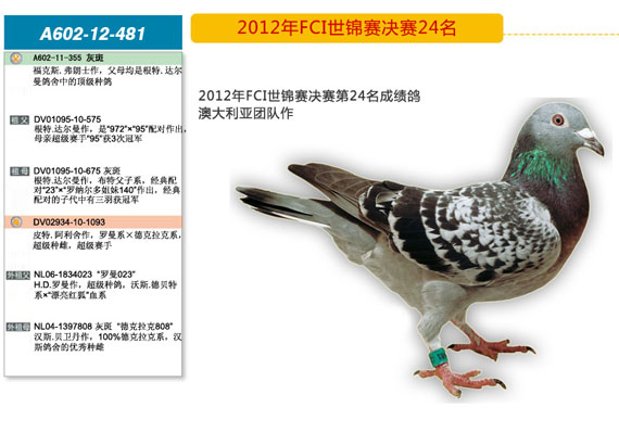 第24名