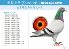 乳酪小子（Kaasboer）-BE98-6335690